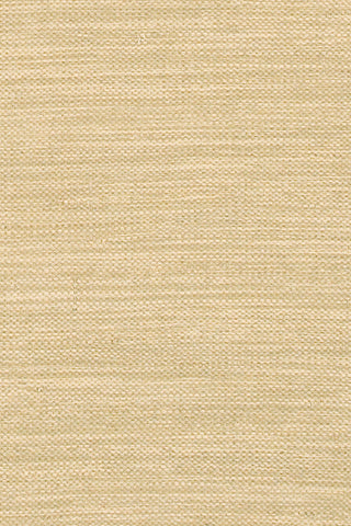 Chandra India IND-8 Beige Area Rug Close Up