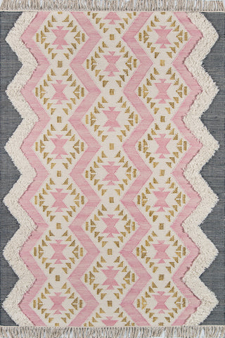 Momeni Indio IND-1 Pink Area Rug by Novogratz main image