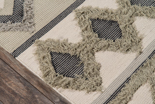 Momeni Indio IND-4 Sage Area Rug by Novogratz Close up