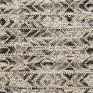 Surya Ingrid ING-2000 Loop Accents Hand Woven Area Rug Sample Swatch