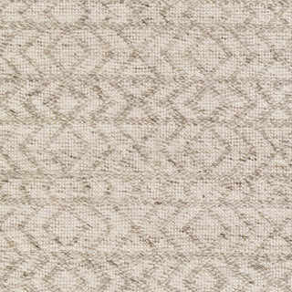 Surya Ingrid ING-2004 Loop Accents Hand Woven Area Rug Sample Swatch