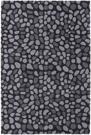 Chandra Inhabit INH-21619 Charcoal/Grey Area Rug main image