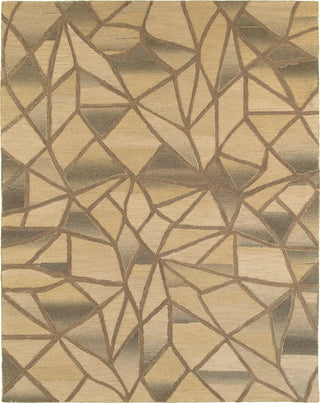 LR Resources Integrity 12010 Beige Area Rug main image