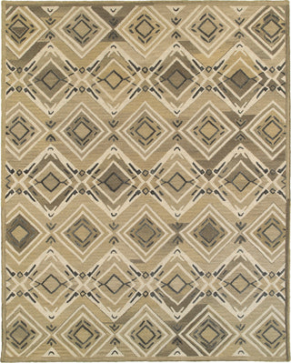 LR Resources Integrity 12014 Brown Area Rug main image