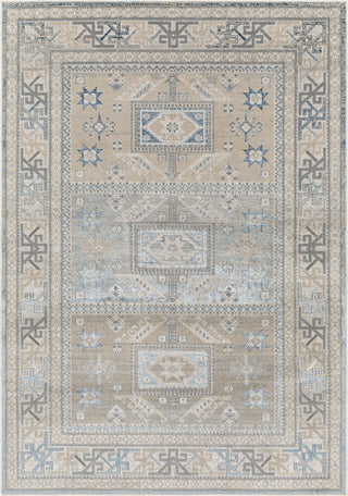 Surya Impulse IPS-2314 Area Rug Main Image 