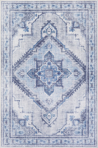 Surya Iris IRS-2304 Area Rug main image