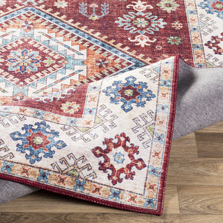 Livabliss Iris IRS-2307 Area Rug