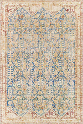 Livabliss Iris IRS-2364 Area Rug