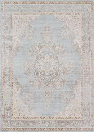 Momeni Isabella ISA-1 Blue Area Rug main image