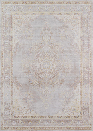 Momeni Isabella ISA-1 Grey Area Rug main image