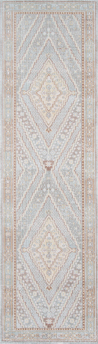 Momeni Isabella ISA-7 Blue Area Rug Runner Image