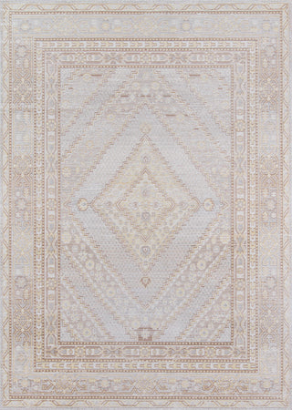 Momeni Isabella ISA-7 Grey Area Rug main image