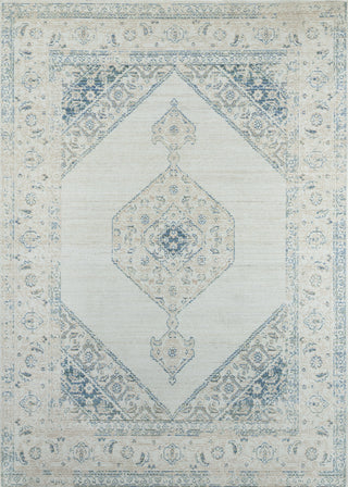 Momeni Isabella ISA10 Blue Area Rug main image