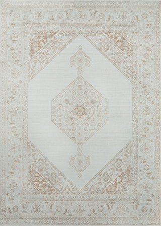 Momeni Isabella ISA10 Brown Area Rug main image