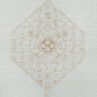 Momeni Isabella ISA10 Brown Area Rug Swatch Image