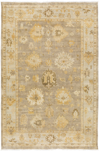 Surya Istanbul IST-1000 Olive Area Rug 5'6'' x 8'6''