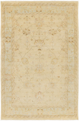 Surya Istanbul IST-1005 Taupe Area Rug 5'6'' x 8'6''