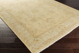 Surya Istanbul IST-1005 Taupe Hand Knotted Area Rug Corner Shot