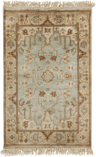 Surya Adana IT-1013 Light Gray Area Rug 2' x 3'