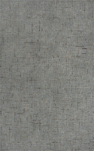 Rizzy Ironwood IWD101 GRAY Area Rug main image