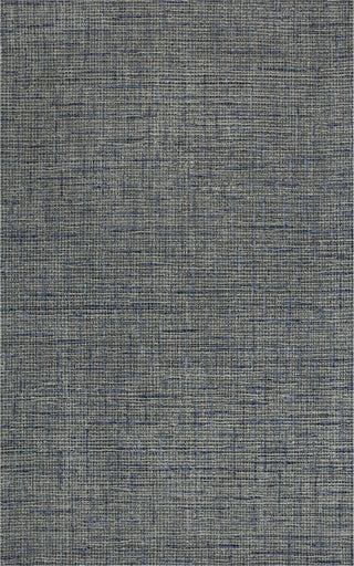 Rizzy Ironwood IWD102 BLUE Area Rug main image