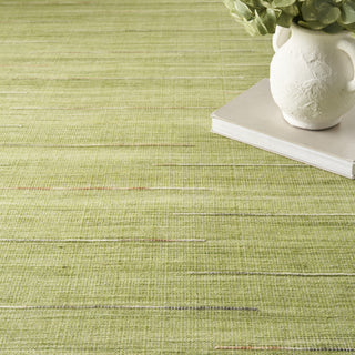 Nourison Interweave IWV01 Green Area Rug Corner Image