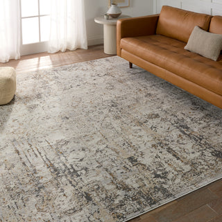 Jaipur Living Acadia Belvoir ACD07 Light Gray/Cream Area Rug Lifestyle Image Feature