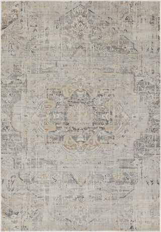 Jaipur Living Acadia Lazuli ACD10 Gray/Tan Area Rug main image