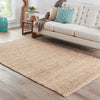 Jaipur Living Andes Braidley AD02 Beige Area Rug Lifestyle Image Feature