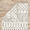 Jaipur Living Adair Riot ADA02 Ivory/Black Area Rug - Folded Corner