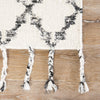 Jaipur Living Adair Riot ADA02 Ivory/Black Area Rug - Close Up