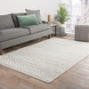 Jaipur Living Naturals Ambary Wales AMB02 Tan/White Area Rug Lifestyle Image Feature