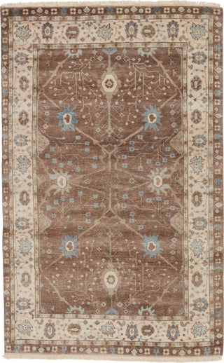 Jaipur Living Anise Princeton ANS01 Tan/Light Blue Area Rug - Top Down