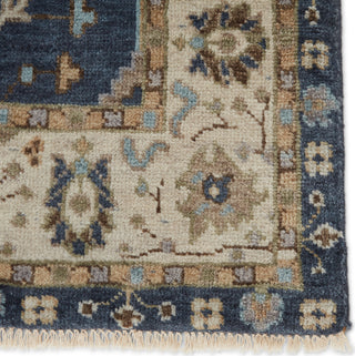 Jaipur Living Anise Princeton ANS02 Dark Blue/Beige Area Rug - Close Up