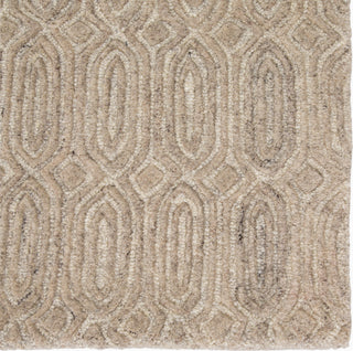 Jaipur Living Asos Chaise AOS04 Beige Area Rug - Close Up