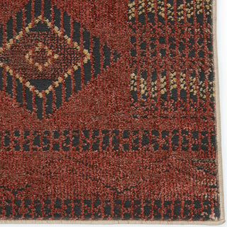 Jaipur Living Artigas Abrego ARG02 Red/Gray Area Rug by Vibe - Close Up