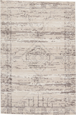 Jaipur Living Artigas Devario ARG03 Gray/Ivory Area Rug by Vibe- Top Down