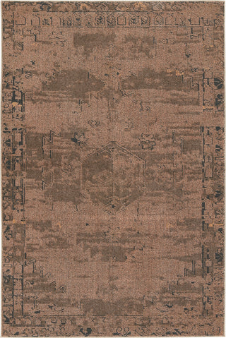 Jaipur Living Artigas Esposito ARG04 Light Brown/Gray Area Rug by Vibe - Top Down