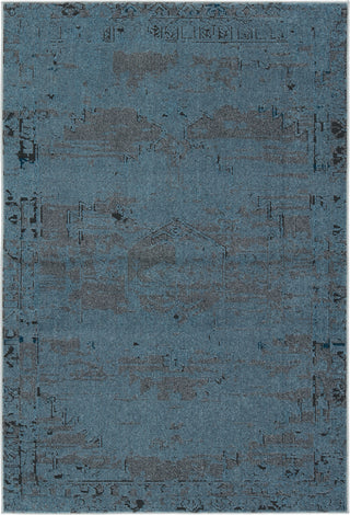 Jaipur Living Artigas Esposito ARG05 Blue/Gray Area Rug by Vibe - Top Down