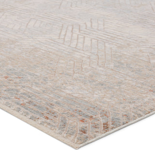 Jaipur Living Aries Venture ARI01 Tan/Gray Area Rug Corner Image