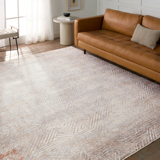 Jaipur Living Aries Venture ARI01 Tan/Gray Area Rug Lifestyle Image Feature