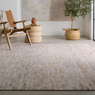 Jaipur Living Aries Luray ARI04 Grey/Cream Area Rug Lifestyle Image