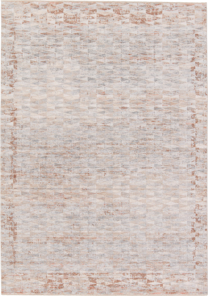 Jaipur Living Aries Luray ARI04 Grey/Cream Area Rug main image