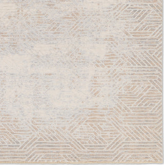 Jaipur Living Aries Olympian ARI05 Tan/Gray Area Rug Detail Image