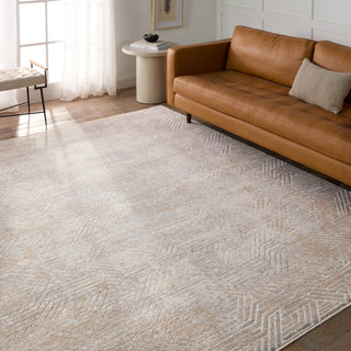 Jaipur Living Aries Olympian ARI05 Tan/Gray Area Rug Lifestyle Image Feature