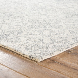 Jaipur Living Ashland Select Dover ASE01 Gray Area Rug