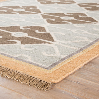 Jaipur Living Anatolia Sultan AT15 Gray/Brown Area Rug