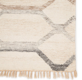 Jaipur Living Anatolia Laveer AT17 Ivory/Light Gray Area Rug - Close Up