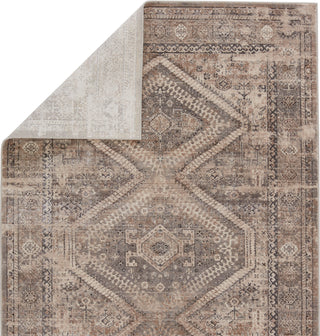 Jaipur Living Athenian Lakota ATH04 Tan/Gray Area Rug by Vibe Backing Image