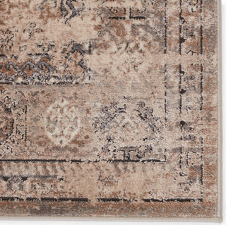 Jaipur Living Athenian Lakota ATH04 Tan/Gray Area Rug by Vibe Detail Image